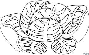 lettuce Coloring Pages To Print